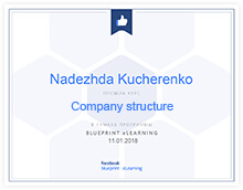 Nadezhda Kucherenko. Company structure